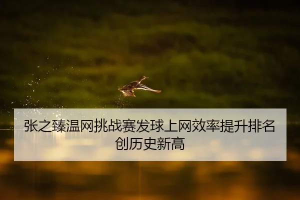 张之臻温网挑战赛发球上网效率提升排名创历史新高