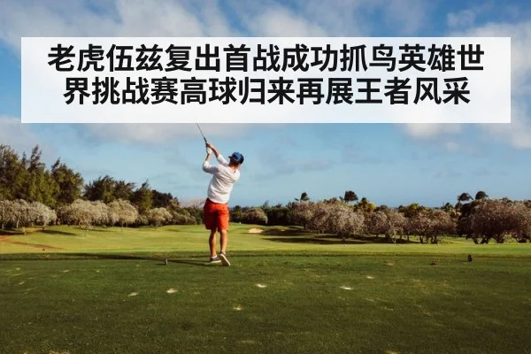 老虎伍兹复出首战成功抓鸟英雄世界挑战赛高球归来再展王者风采