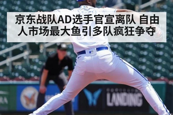京东战队AD选手官宣离队 自由人市场最大鱼引多队疯狂争夺
